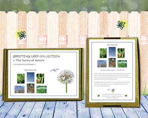 Poetry of Nature Greeting Card Collection - Dew Drops II